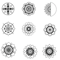 A premium set of vector floral elements with a black and white flower design