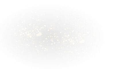 Shimmering Stardust Light