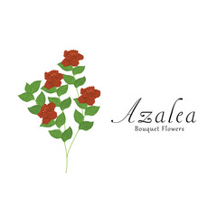 Azalea plant flower vector illustrations.