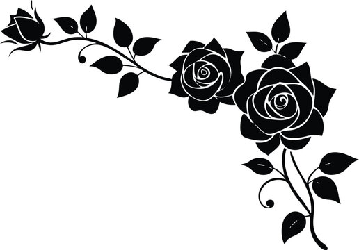 floral corner element featuring roses silhouette vector illustration