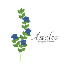 Azalea plant flower vector illustrations.