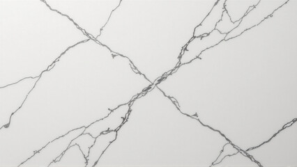 Intersecting Veins White Marble Panel