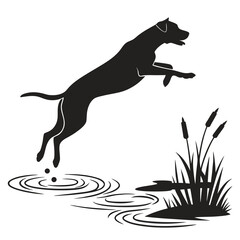 Dog leaping into pond silhouette