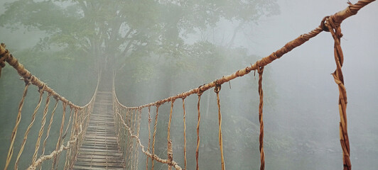 Amazon Natural Park Canopy Walk. 