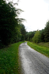 Fototapeta premium Curving gravel forest road bordered by bright grass and dense conifers under an overcast sky; inviting woodland route for walking, cycling and a calm nature escape in soft daylight.