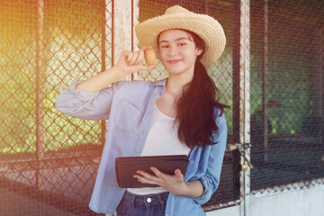 Farmers are checking the health of chickens on the farm in preparation for export.	