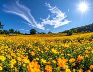 Fototapeta premium Beautiful Yellow Flowers in Natural Light