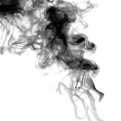 Fototapeta premium Smoke swirls create abstract patterns in black and white artistry