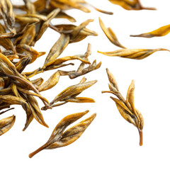Jasmine tea leaves [Transparent Background PNG].