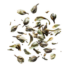 Jasmine tea leaves [Transparent Background PNG].