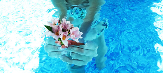 Fresh chamomile flowers and white petals on water surface with drop circles

