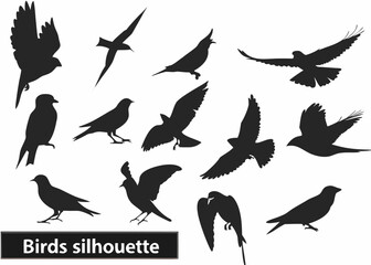 Collection of diverse bird silhouettes in flight and perched