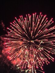 colorful fireworks in the sky