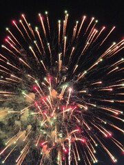 colorful fireworks in the sky