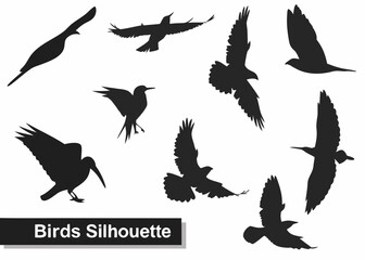 Collection of diverse bird silhouettes in flight and perched