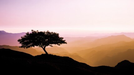 Lone Tree Silhouette on Hilltop with Misty Purple and Golden Mountain Layers mountains landscape