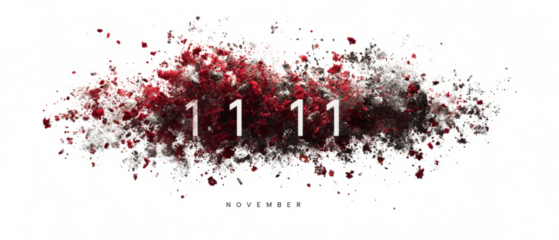 11.11 Shopping Festival Graphic