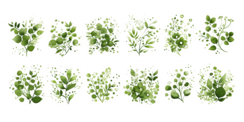 minimalistic linear bushes with transparent green watercolor fill