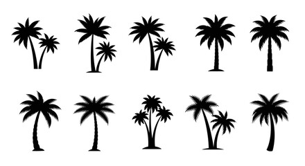 Collection of stylized black palm tree silhouettes, varying in size and arrangement.