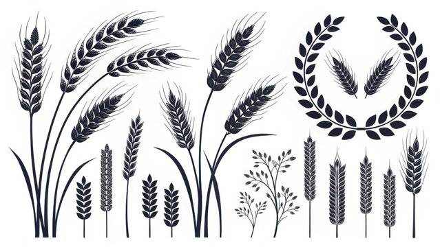 Elegant wheat stalks and laurel wreath collection agricultural design elements