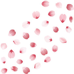 An elegant illustration of delicate pink cherry blossom petals scattered and floating across a clean white background.
