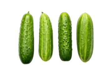 Cucumber Gardening Tips For Beginners
