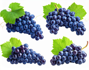 Set of fresh grapes on transparent background 