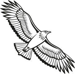 Black and white graphic illustration of an eagle in flight with wings spread wide