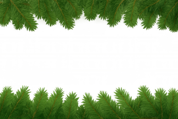 Fir tree branches creating a festive frame, leaving copy space for holiday greetings, transparent background