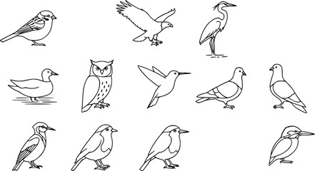 Fototapeta premium Set of simple bird line icons.