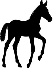 Silhouette of a foal