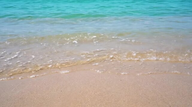 Water Movement