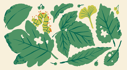 Various green leaves chewed by insects. Damaged leaves with holes due to being eaten by caterpillar. Insect on a leaf. Hand drawn modern Vector illustration. Isolated design elements 