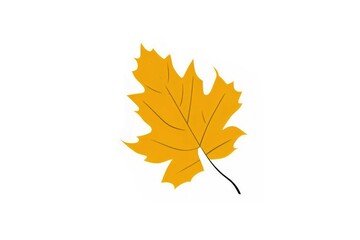 Fototapeta premium Autumn leaves leaf illustration plant.
