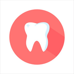 vector image of white teeth