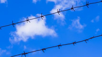 Barbed wire against a clear blue sky with fluffy clouds captures a sense of isolation and freedom in a rural landscape