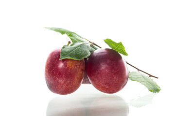 Ripe red plums and green leaves on a white background