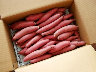 ダンボールに入った、日本のさつまいも「あまはづき」（小さいサイズ）