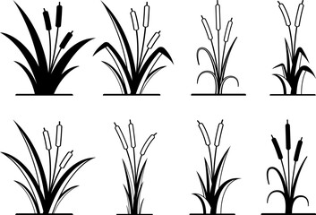 Cattail Eps, Vector Images Black and White