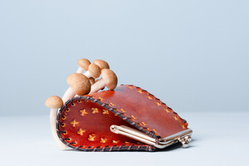A leather wallet lies on a light blue surface, with small mushrooms sprouting from its surface. Environmentally friendly alternative to synthetic fibers. Future of ethical fashion. 