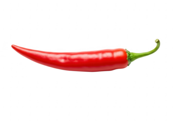 A single vibrant red chili pepper with a curved stem isolated on transparent background