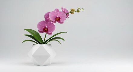 Pink orchid in a white geometric vase on white surface