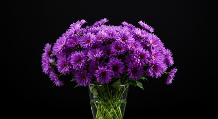 A vase holding a bouquet of purple aster flowers bloom