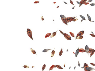 Adobe Illustrator Artwork