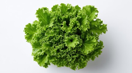 Obraz premium Flat Lay Photography of Curly Kale on White