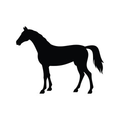 Elegant black silhouette of a standing horse against a white background