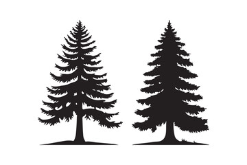 Two silhouette evergreen trees against a white background