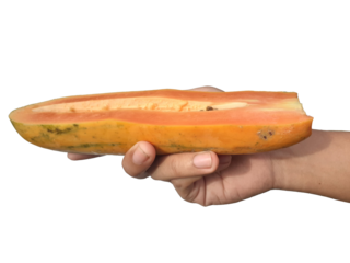 Holding a papaya in hand, isolated on PNG background.