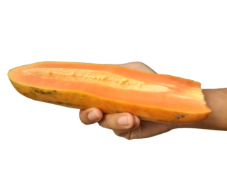 Holding a papaya in hand, isolated on PNG background.