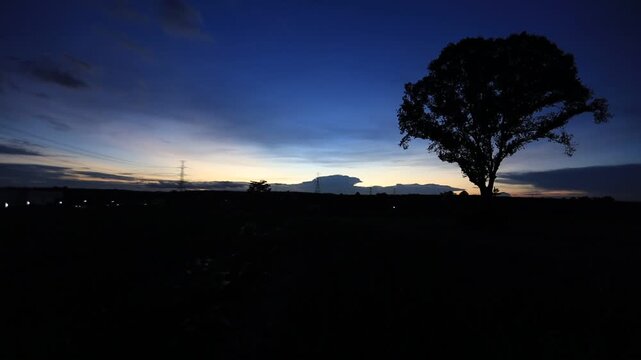 Natural video background of various trees growing along the edge of a large reservoir, with a cool breeze, colorful twilight sky, and the richness of the forest system.